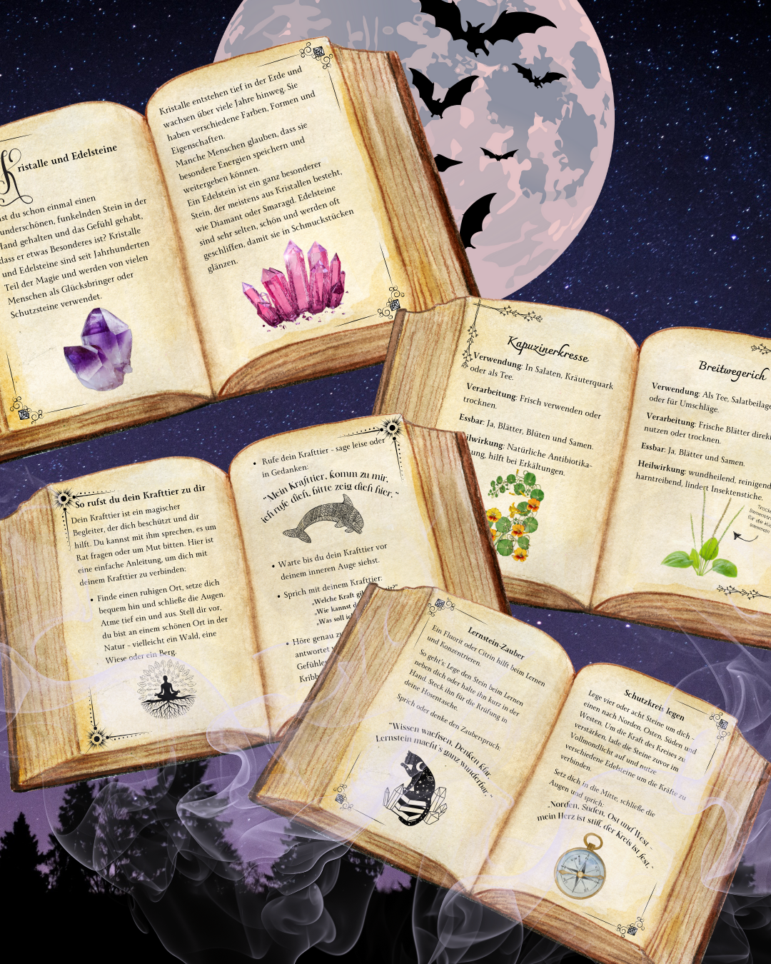 Blick ins Buch – Teil 2, offene Buchseiten